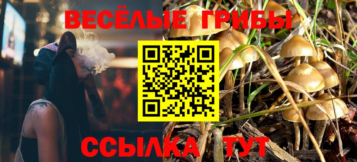 Псилоцибиновые грибы MAGIC MUSHROOMS Тобольск