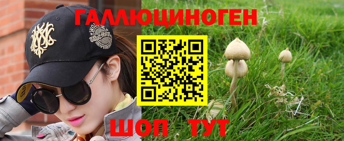 Галлюциногенные грибы Magic Shrooms  Вход с VPN  Тобольск  Псилоцибиновые грибы GOLDEN TEACHER 